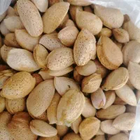 بادام سنگی