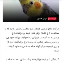 گمشده
