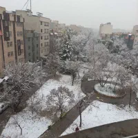 فروش فوری زمین با سند