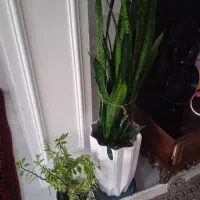 اجاره دفتری درچایکنارجنوبی