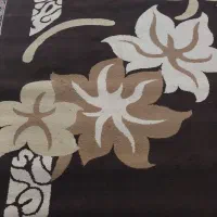 ۲ عدد گلیم فرش