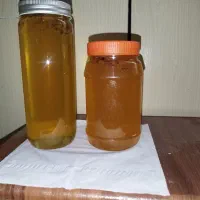 عسل طبیعی گون و کنار درجه یک|خوردنی و آشامیدنی|لامرد, |دیوار