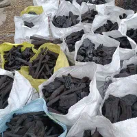 فروش ذغالی کبابی سیب