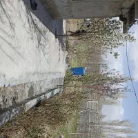 باغ بدون مثال تفریحی