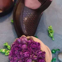 کفش مخصوص سخت پسندان|کیف، کفش، کمربند|زابل, |دیوار