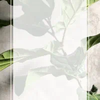 مرکز اپیلاسیون قیچی