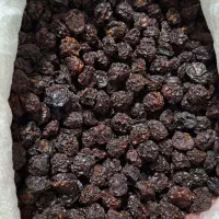 آلو خشک|خوردنی و آشامیدنی|فولادشهر, B5|دیوار