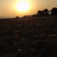 راهنمایی لطفا