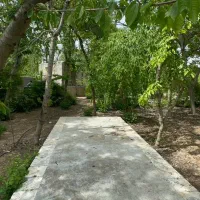 سینمانگار ساختمان