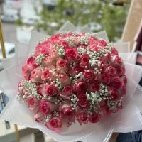 جشنواره گل رز هلندی بهاره