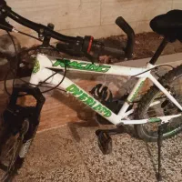 دوچرخه فروشی|دوچرخه، اسکیت، اسکوتر|گنبد کاووس, |دیوار