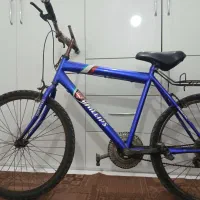 دوچرخه سواری ۲۴ تمیز