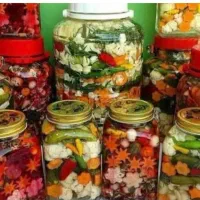محصولات گیاهی  غذایی خانگی