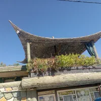 طرح چوب آبنما آلاچیق طرح سنگ همراه با رنگ امیزی