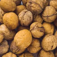 فروش گردو درجه یک سهرورد