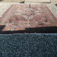 فروش قالی کارکرده|فرش|گنبد کاووس, |دیوار