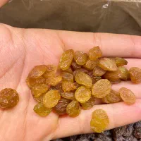 آبغوره و آبلیمو تاکستان|خوردنی و آشامیدنی|تاکستان, |دیوار