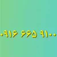 ۰۹۱۶۶۶۵۹۱۰۰
