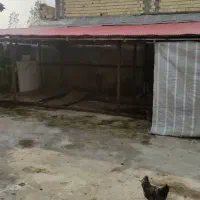 اجاره سوله ۱۸۰ متر میدان امام حسین|اجارهٔ دفتر صنعتی، کشاورزی، تجاری|رشت, فلسطین|دیوار