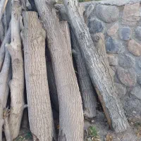 چوب گردو
