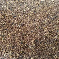 کنجد|عمدهفروشی|عطاملک, |دیوار