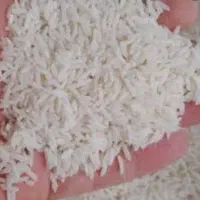 فروش برنج خزرگیلان