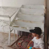 میز میوه فروشی|فروشگاه و مغازه|تربت‌حیدریه, پائین ولایت|دیوار