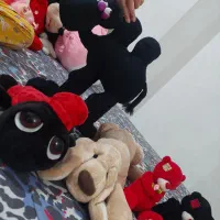 عروسک|اسباب‌‌بازی|شیراز, گلکوب|دیوار