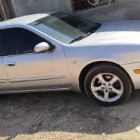 ماکسیما مدل 81