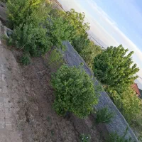 خونه باغ قز با متراژ۳۲۰مترفروشی قیمت مناسب