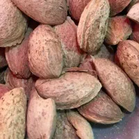 بادام پوست کاغذی