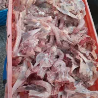 اسکلت ،گردن ، اسکلت کعب ران و گردن اسکلت چرخ شده|خوردنی و آشامیدنی|تهران, شمیران‌نو|دیوار