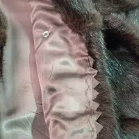 پالتو شیک وگرم خز بلند|لباس|نشتارود, |دیوار