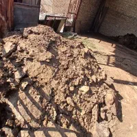 کود گوسفندی