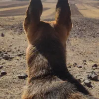 ماجرا جویی و طبیعت گردی