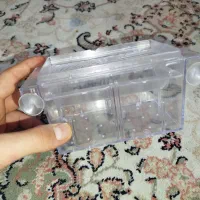 زایشگاه ماهی