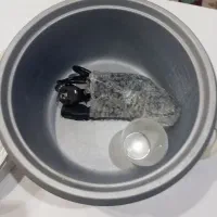 پلوپز بخارپز|اجاق گاز و لوازم برقی پخت‌وپز|سبزوار, گلشن|دیوار