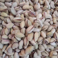 انواع اجیل پسته .|خوردنی و آشامیدنی|امیرآباد, |دیوار