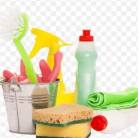 استخدام نیروی خدماتی