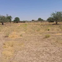 زمین زراعی ، نزدیک شهر|فروش زمین و ملک کلنگی|قزوین, |دیوار