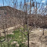 منزل مسکونی در روستای نماگرد