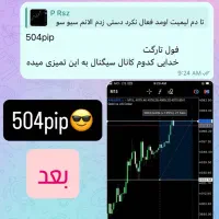 آموزش حرفه ای و تخصصی فارکس و کریپتو کارنسی|خدمات آموزشی|تهران, مهران|دیوار