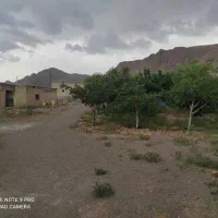 یک واحد دامداری جهت اجاره|اجارهٔ دفتر صنعتی، کشاورزی، تجاری|اشتهارد, |دیوار