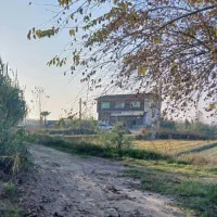 زمین باغ|فروش زمین و ملک کلنگی|دابودشت, |دیوار