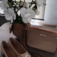 کیف و کفش