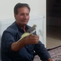 کارت ملی من گم شده به نام مصیب رسولی