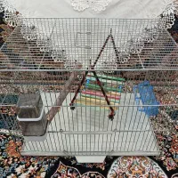 قفس بزرگ پرنده