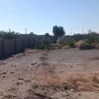 زمین  سکهور