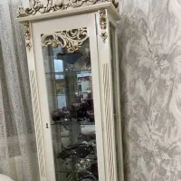 ویترین کاملا سالم بدون حتی یک نقطه