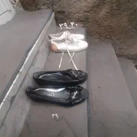 پالتو|لباس|جوانرود, |دیوار